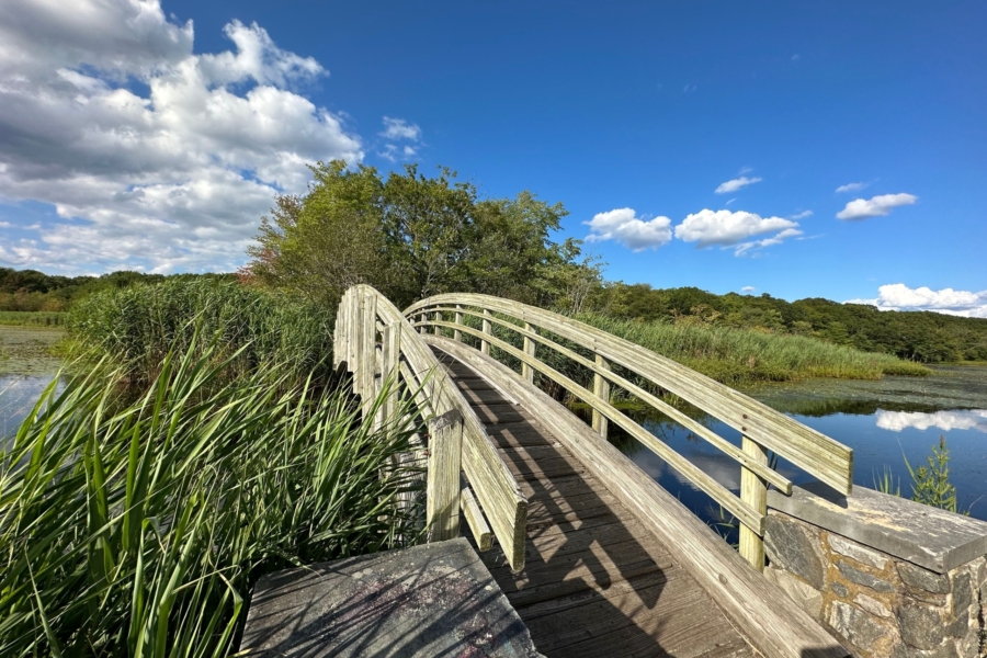 Practice-area-bridge